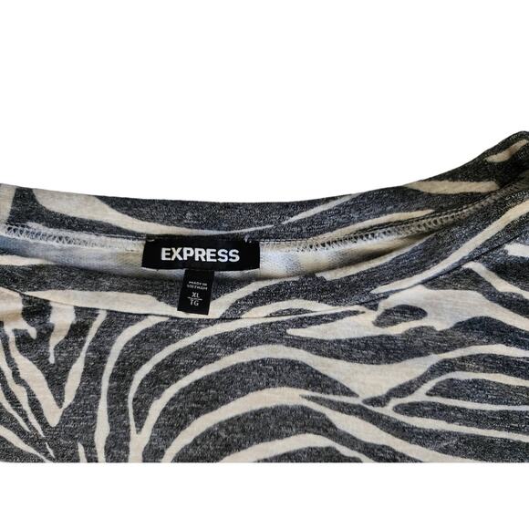 Express Zebra Print Lounge Set Top & Joggers | Cozy Animal Print | L/XL - Picture 15 of 16